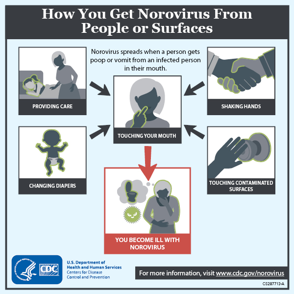 An infographic showing how you can get Norovirus from people or surfaces.