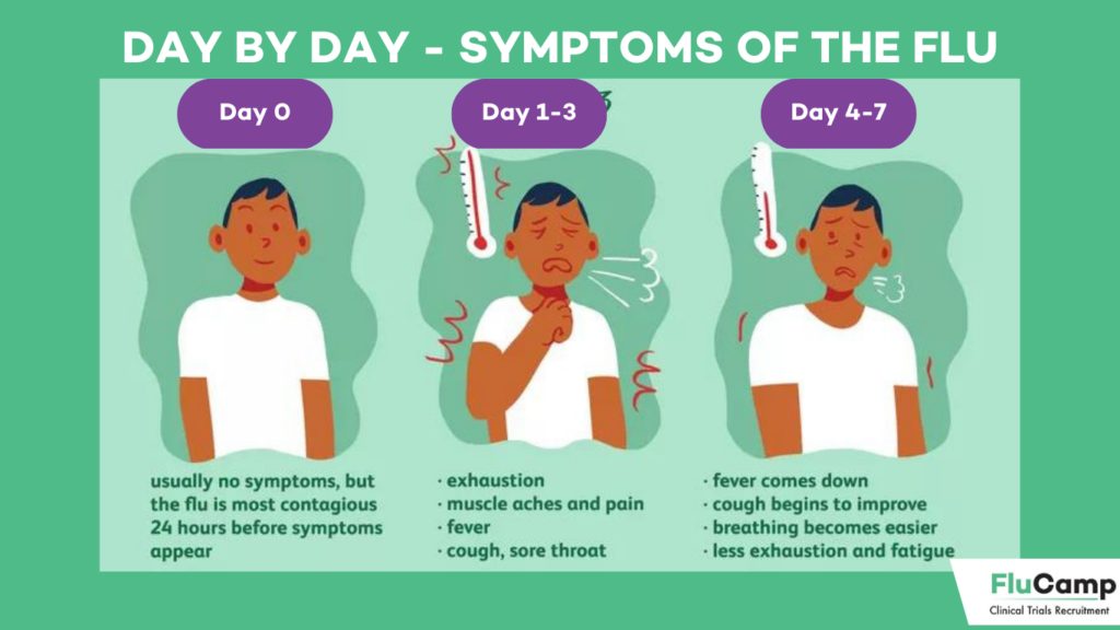Stages of the Flu How Long Will Your Flu Symptoms Last FluCamp